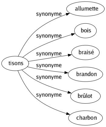 Synonyme de Tisons : Allumette Bois Braisé Brandon Brûlot Charbon 