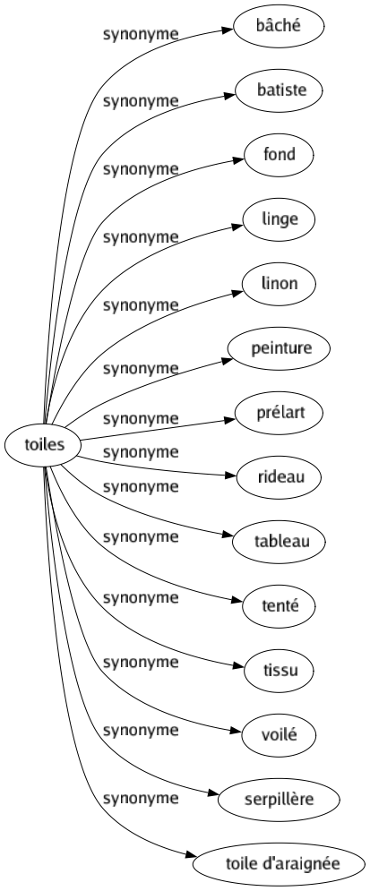 Synonyme de Toiles : Bâché Batiste Fond Linge Linon Peinture Prélart Rideau Tableau Tenté Tissu Voilé Serpillère Toile d'araignée 