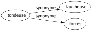 Synonyme de Tondeuse : Faucheuse Forcés 