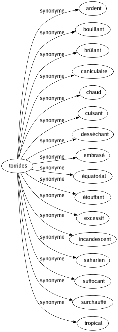 Synonyme de Torrides : Ardent Bouillant Brûlant Caniculaire Chaud Cuisant Desséchant Embrasé Équatorial Étouffant Excessif Incandescent Saharien Suffocant Surchauffé Tropical 