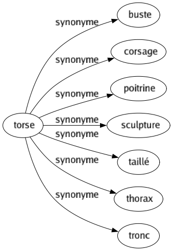Synonyme de Torse : Buste Corsage Poitrine Sculpture Taillé Thorax Tronc 