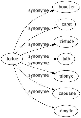 Synonyme de Tortue : Bouclier Caret Cistude Luth Trionyx Caouane Émyde 