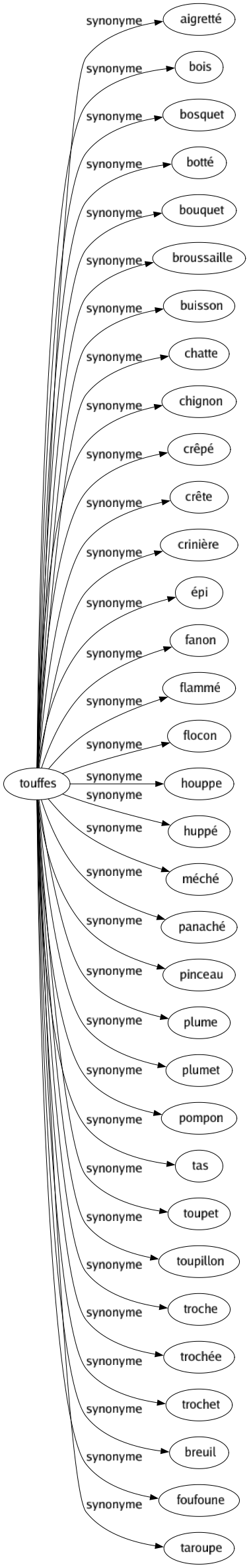 Synonyme de Touffes : Aigretté Bois Bosquet Botté Bouquet Broussaille Buisson Chatte Chignon Crêpé Crête Crinière Épi Fanon Flammé Flocon Houppe Huppé Méché Panaché Pinceau Plume Plumet Pompon Tas Toupet Toupillon Troche Trochée Trochet Breuil Foufoune Taroupe 