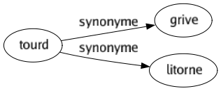 Synonyme de Tourd : Grive Litorne 