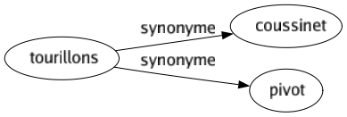 Synonyme de Tourillons : Coussinet Pivot 