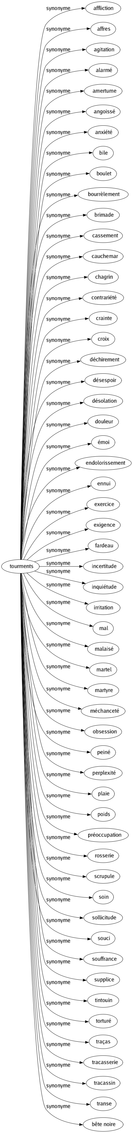 Synonyme de Tourments : Affliction Affres Agitation Alarmé Amertume Angoissé Anxiété Bile Boulet Bourrèlement Brimade Cassement Cauchemar Chagrin Contrariété Crainte Croix Déchirement Désespoir Désolation Douleur Émoi Endolorissement Ennui Exercice Exigence Fardeau Incertitude Inquiétude Irritation Mal Malaisé Martel Martyre Méchanceté Obsession Peiné Perplexité Plaie Poids Préoccupation Rosserie Scrupule Soin Sollicitude Souci Souffrance Supplice Tintouin Torturé Traças Tracasserie Tracassin Transe Bête noire 