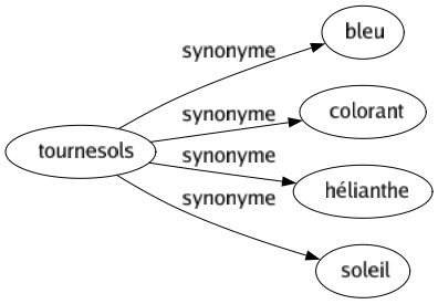 Synonyme de Tournesols : Bleu Colorant Hélianthe Soleil 