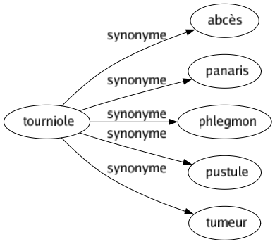 Synonyme de Tourniole : Abcès Panaris Phlegmon Pustule Tumeur 