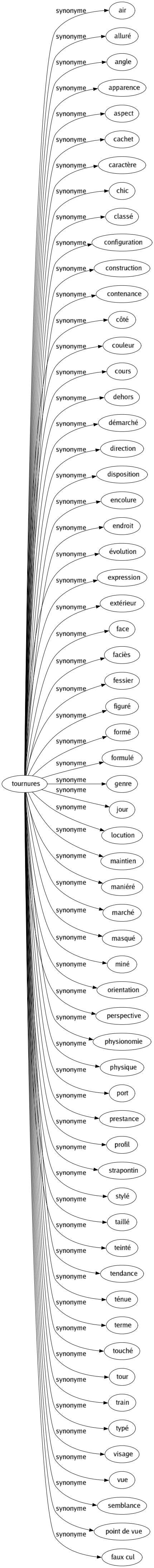 Synonyme de Tournures : Air Alluré Angle Apparence Aspect Cachet Caractère Chic Classé Configuration Construction Contenance Côté Couleur Cours Dehors Démarché Direction Disposition Encolure Endroit Évolution Expression Extérieur Face Faciès Fessier Figuré Formé Formulé Genre Jour Locution Maintien Maniéré Marché Masqué Miné Orientation Perspective Physionomie Physique Port Prestance Profil Strapontin Stylé Taillé Teinté Tendance Ténue Terme Touché Tour Train Typé Visage Vue Semblance Point de vue Faux cul 