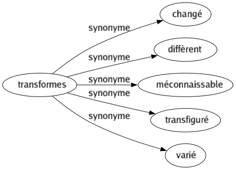 Synonyme de Transformes : Changé Diffèrent Méconnaissable Transfiguré Varié 