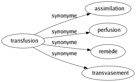 Synonyme de Transfusion : Assimilation Perfusion Remède Transvasement 