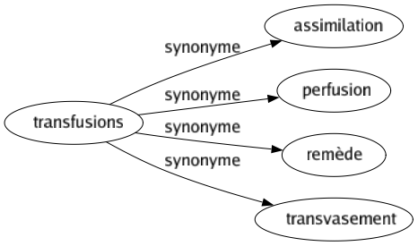 Synonyme de Transfusions : Assimilation Perfusion Remède Transvasement 