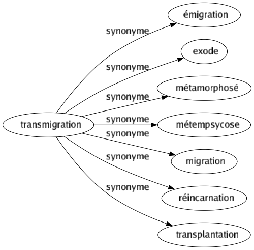 Synonyme de Transmigration : Émigration Exode Métamorphosé Métempsycose Migration Réincarnation Transplantation 