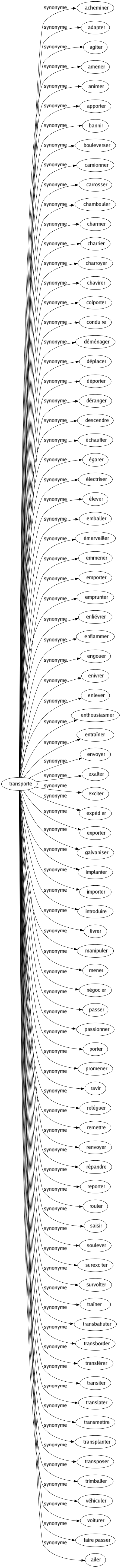 Synonyme de Transporte : Acheminer Adapter Agiter Amener Animer Apporter Bannir Bouleverser Camionner Carrosser Chambouler Charmer Charrier Charroyer Chavirer Colporter Conduire Déménager Déplacer Déporter Déranger Descendre Échauffer Égarer Électriser Élever Emballer Émerveiller Emmener Emporter Emprunter Enfiévrer Enflammer Engouer Enivrer Enlever Enthousiasmer Entraîner Envoyer Exalter Exciter Expédier Exporter Galvaniser Implanter Importer Introduire Livrer Manipuler Mener Négocier Passer Passionner Porter Promener Ravir Reléguer Remettre Renvoyer Répandre Reporter Rouler Saisir Soulever Surexciter Survolter Traîner Transbahuter Transborder Transférer Transiter Translater Transmettre Transplanter Transposer Trimballer Véhiculer Voiturer Faire passer Ailer 