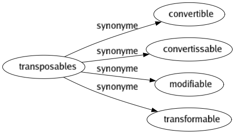 Synonyme de Transposables : Convertible Convertissable Modifiable Transformable 