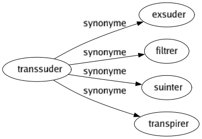 Synonyme de Transsuder : Exsuder Filtrer Suinter Transpirer 