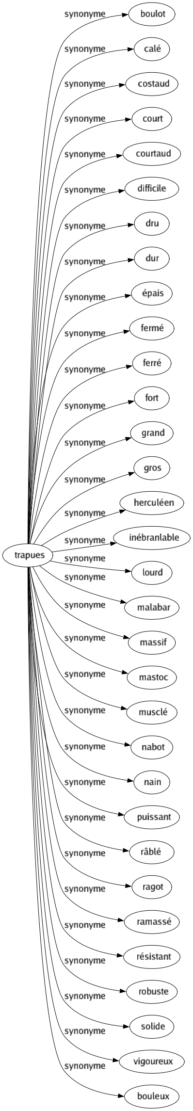 Synonyme de Trapues : Boulot Calé Costaud Court Courtaud Difficile Dru Dur Épais Fermé Ferré Fort Grand Gros Herculéen Inébranlable Lourd Malabar Massif Mastoc Musclé Nabot Nain Puissant Râblé Ragot Ramassé Résistant Robuste Solide Vigoureux Bouleux 