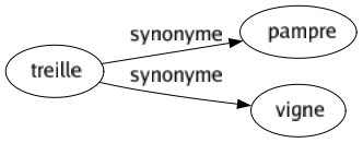 Synonyme de Treille : Pampre Vigne 