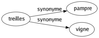 Synonyme de Treilles : Pampre Vigne 