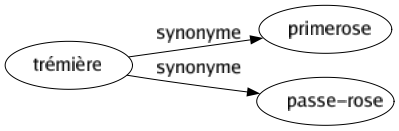 Synonyme de Trémière : Primerose Passe-rose 