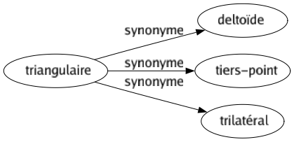 Synonyme de Triangulaire : Deltoïde Tiers-point Trilatéral 