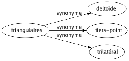 Synonyme de Triangulaires : Deltoïde Tiers-point Trilatéral 