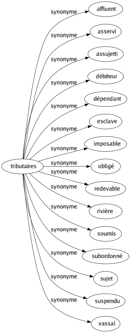 Synonyme de Tributaires : Affluent Asservi Assujetti Débiteur Dépendant Esclave Imposable Obligé Redevable Rivière Soumis Subordonné Sujet Suspendu Vassal 