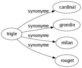 Synonyme de Trigle : Cardinal Grondin Milan Rouget 