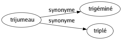 Synonyme de Trijumeau : Trigéminé Triplé 