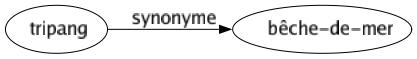 Synonyme de Tripang : Bêche-de-mer 