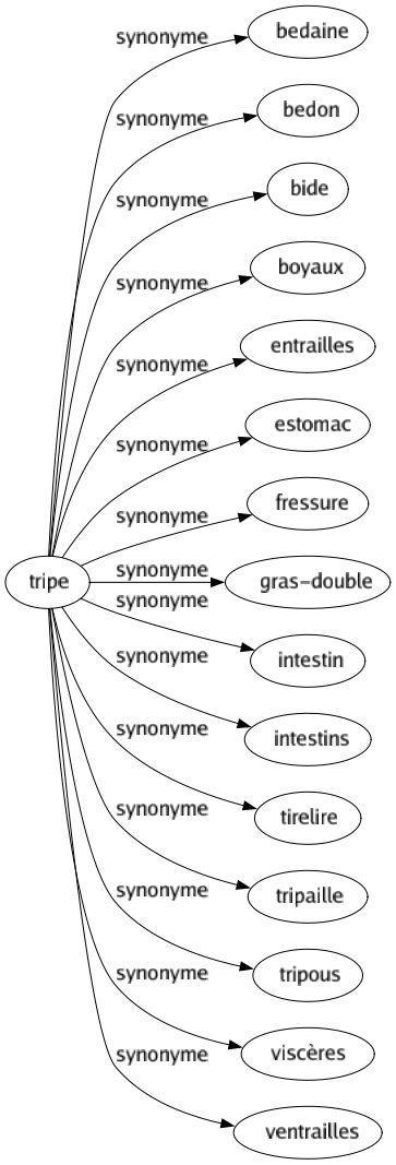 Synonyme de Tripe : Bedaine Bedon Bide Boyaux Entrailles Estomac Fressure Gras-double Intestin Intestins Tirelire Tripaille Tripous Viscères Ventrailles 