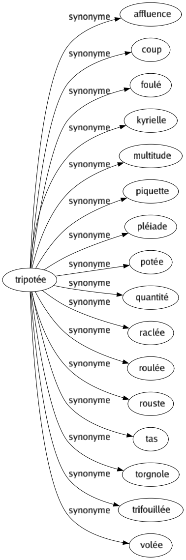 Synonyme de Tripotée : Affluence Coup Foulé Kyrielle Multitude Piquette Pléiade Potée Quantité Raclée Roulée Rouste Tas Torgnole Trifouillée Volée 