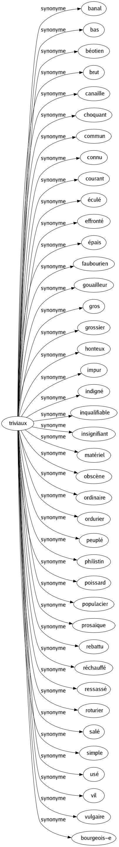 Synonyme de Triviaux : Banal Bas Béotien Brut Canaille Choquant Commun Connu Courant Éculé Effronté Épais Faubourien Gouailleur Gros Grossier Honteux Impur Indigné Inqualifiable Insignifiant Matériel Obscène Ordinaire Ordurier Peuplé Philistin Poissard Populacier Prosaïque Rebattu Réchauffé Ressassé Roturier Salé Simple Usé Vil Vulgaire Bourgeois-e 