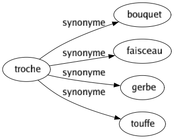 Synonyme de Troche : Bouquet Faisceau Gerbe Touffe 