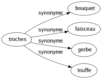 Synonyme de Troches : Bouquet Faisceau Gerbe Touffe 