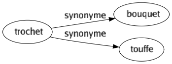 Synonyme de Trochet : Bouquet Touffe 