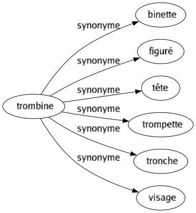 Synonyme de Trombine : Binette Figuré Tête Trompette Tronche Visage 