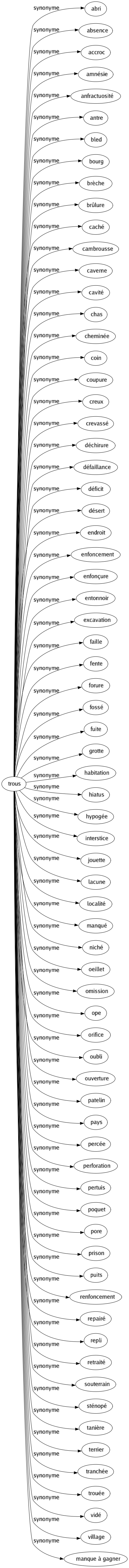 Synonyme de Trous : Abri Absence Accroc Amnésie Anfractuosité Antre Bled Bourg Brèche Brûlure Caché Cambrousse Caverne Cavité Chas Cheminée Coin Coupure Creux Crevassé Déchirure Défaillance Déficit Désert Endroit Enfoncement Enfonçure Entonnoir Excavation Faille Fente Forure Fossé Fuite Grotte Habitation Hiatus Hypogée Interstice Jouette Lacune Localité Manqué Niché Oeillet Omission Ope Orifice Oubli Ouverture Patelin Pays Percée Perforation Pertuis Poquet Pore Prison Puits Renfoncement Repairé Repli Retraité Souterrain Sténopé Tanière Terrier Tranchée Trouée Vidé Village Manque à gagner 