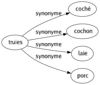 Synonyme de Truies : Coché Cochon Laie Porc 