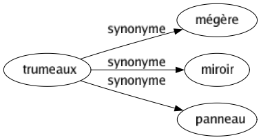 Synonyme de Trumeaux : Mégère Miroir Panneau 