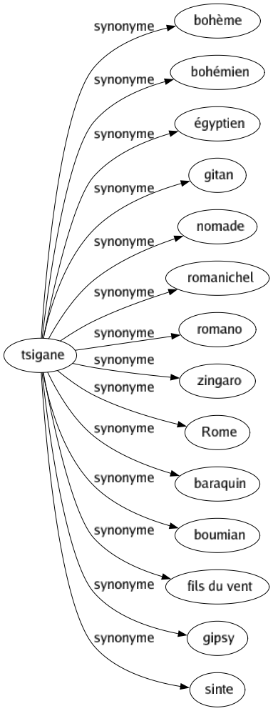 Synonyme de Tsigane : Bohème Bohémien Égyptien Gitan Nomade Romanichel Romano Zingaro Rome Baraquin Boumian Fils du vent Gipsy Sinte 