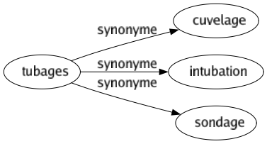 Synonyme de Tubages : Cuvelage Intubation Sondage 