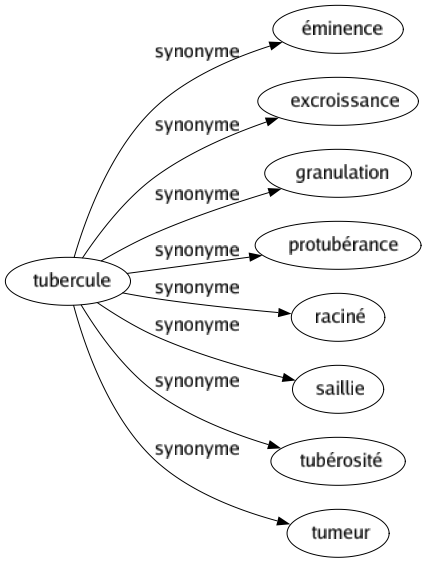 Synonyme de Tubercule : Éminence Excroissance Granulation Protubérance Raciné Saillie Tubérosité Tumeur 