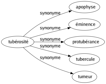 Synonyme de Tubérosité : Apophyse Éminence Protubérance Tubercule Tumeur 