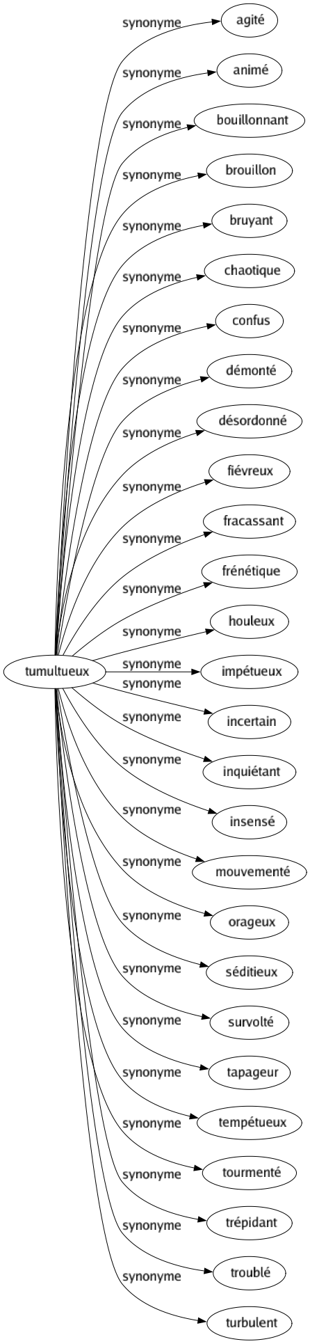 Synonyme de Tumultueux : Agité Animé Bouillonnant Brouillon Bruyant Chaotique Confus Démonté Désordonné Fiévreux Fracassant Frénétique Houleux Impétueux Incertain Inquiétant Insensé Mouvementé Orageux Séditieux Survolté Tapageur Tempétueux Tourmenté Trépidant Troublé Turbulent 