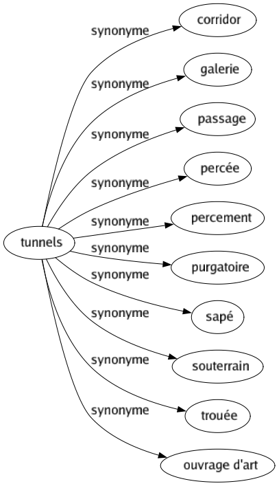 Synonyme de Tunnels : Corridor Galerie Passage Percée Percement Purgatoire Sapé Souterrain Trouée Ouvrage d'art 