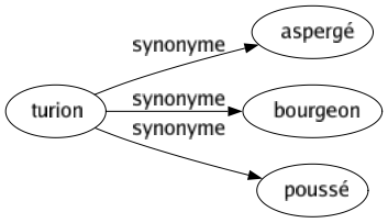 Synonyme de Turion : Aspergé Bourgeon Poussé 