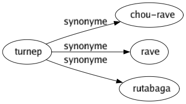 Synonyme de Turnep : Chou-rave Rave Rutabaga 