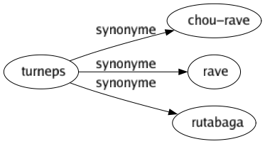 Synonyme de Turneps : Chou-rave Rave Rutabaga 