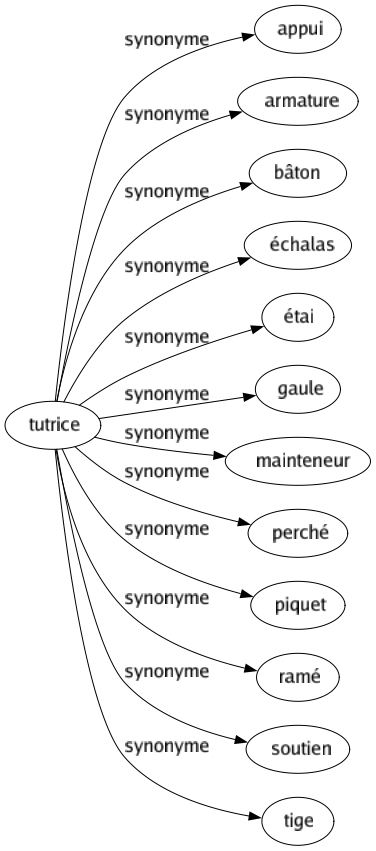 Synonyme de Tutrice : Appui Armature Bâton Échalas Étai Gaule Mainteneur Perché Piquet Ramé Soutien Tige 